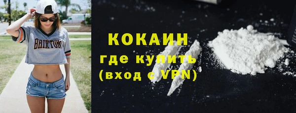 хмурый Бородино