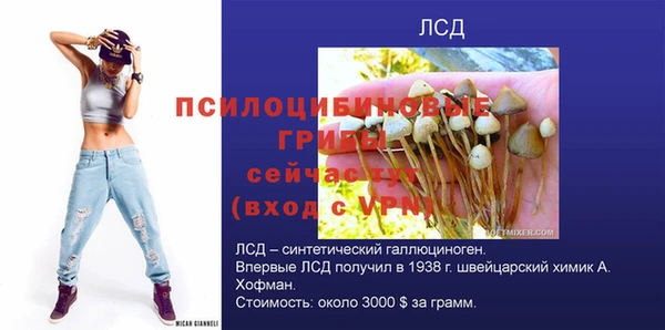 гидра Бронницы