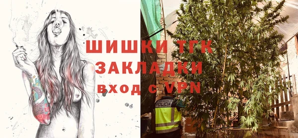 хмурый Бородино