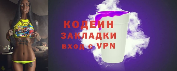 хмурый Бородино