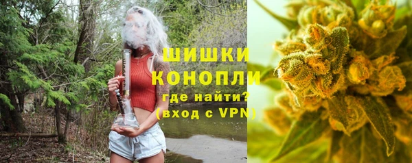 хмурый Бородино