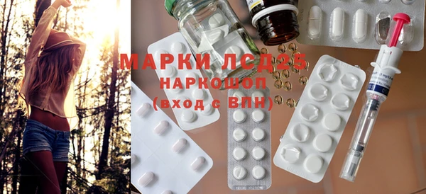 хмурый Бородино