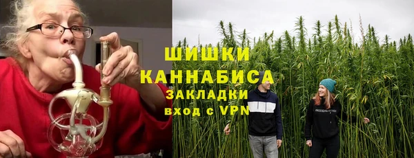 гидра Бронницы