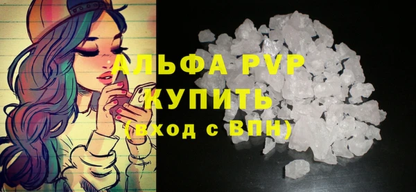 хмурый Бородино