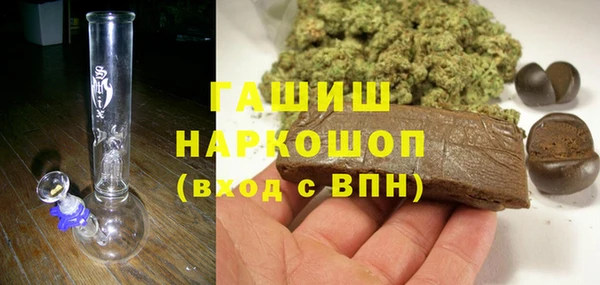 хмурый Бородино