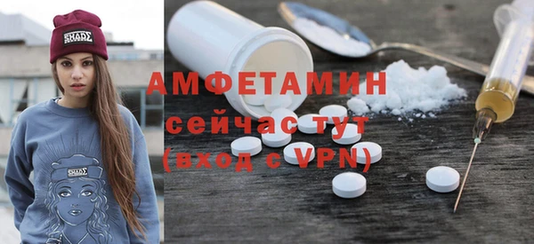 хмурый Бородино