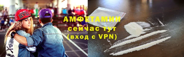 гидра Бронницы