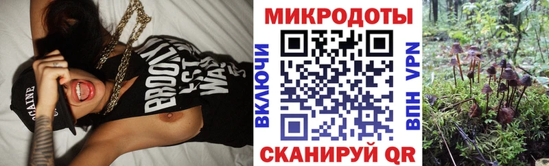 Псилоцибиновые грибы GOLDEN TEACHER Красноярск